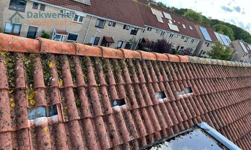 Een dakrenovatie bij oud pannendak in Landgraaf